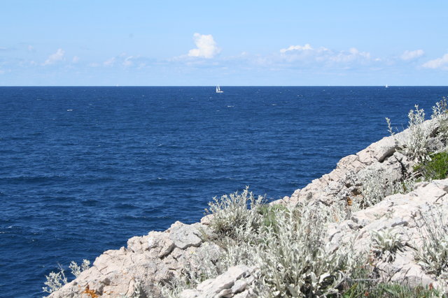 gal/cro 08/small-IMG_5210.JPG